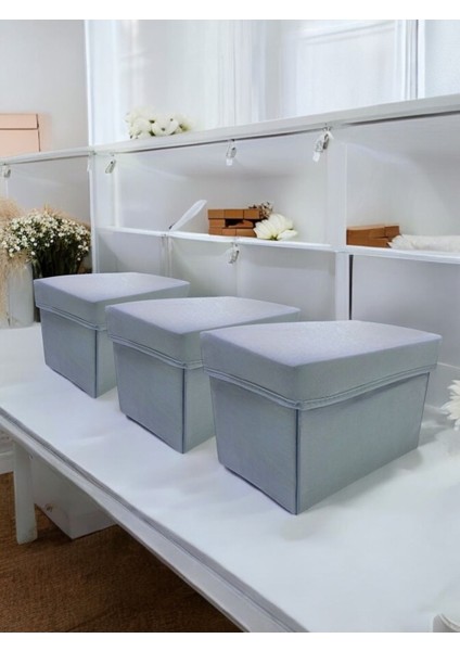 3 Adet Gri Kapaklı Çok Amaçlı Saklama Kutusu 30x20x20 cm fiyatları