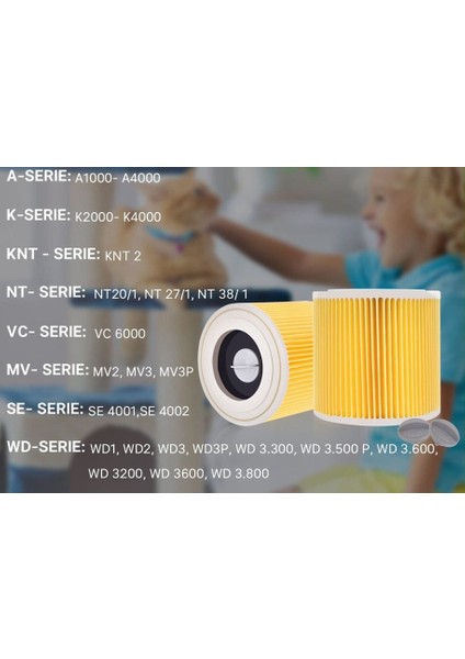 Karcher Uyumlu Wd2 / Wd3 Kartuş Filtre (2 Adet)