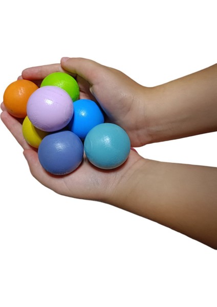 montessori Eşleştirme Topları 12'li Tablalı1 Adet
