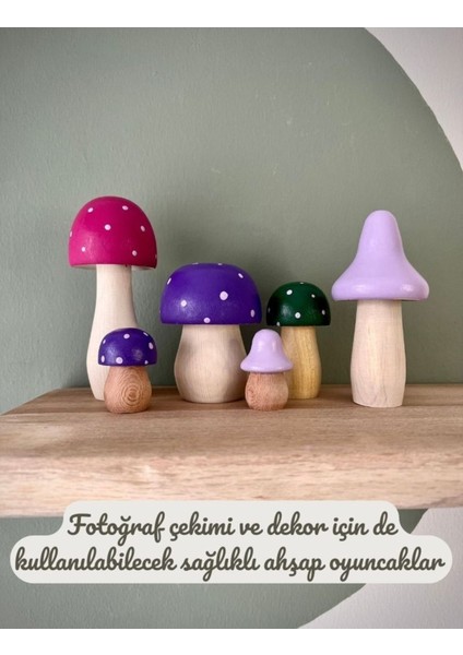 waldorf Doğal Ahşap Oyuncak Mantar Set Hediyelik Bebek Çocuk Odası Dekor 6lı Fotoğraf Çekimi1 Adet fiyatları