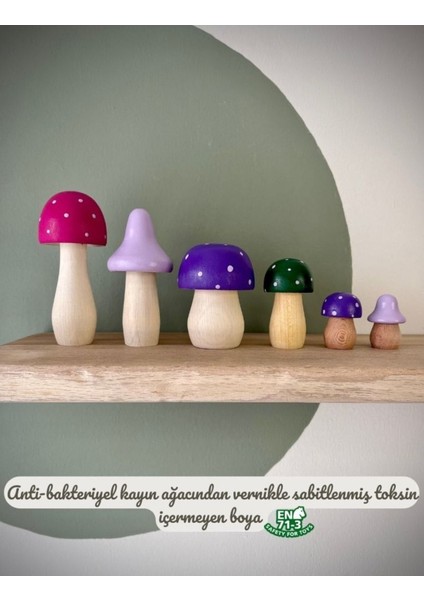 waldorf Doğal Ahşap Oyuncak Mantar Set Hediyelik Bebek Çocuk Odası Dekor 6lı Fotoğraf Çekimi1 Adet modelleri