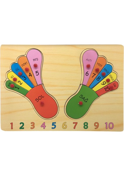 ayaklar Ahşap Puzzle 30 x 22,5 x 0,8 cm 12 Parçalı +3 Yaş1 Adet