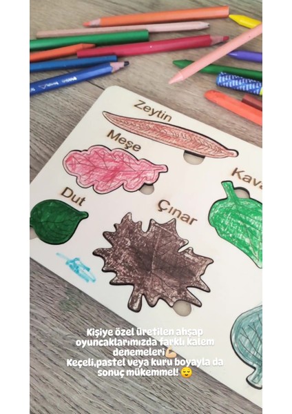 montessori Eğitici Boyanabilir Ahşap Tak Cıkar Puzzle Oyuncak 3 Lü Set,hayvanlar,yapraklar,meyveler1 Adet
