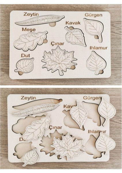montessori Eğitici Boyanabilir Ahşap Tak Cıkar Puzzle Oyuncak 3 Lü Set,hayvanlar,yapraklar,meyveler1 Adet