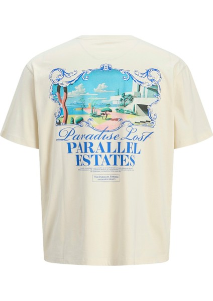 Jack Jones Jorparallel Tee Ss Crew Neck Tg Erkek Bej Tshirt 12275399-06 fiyatları