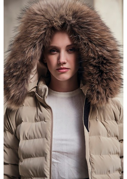 18269 Womanıa Mont Ibıza modelleri