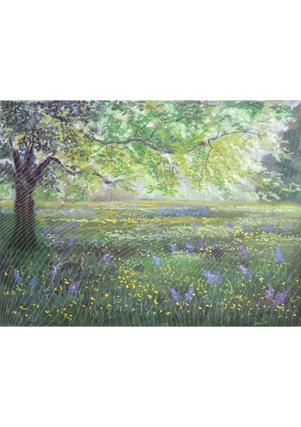 Bahar Bahçesi Arka Plan, 200X150CM, Stüdyo Fonu