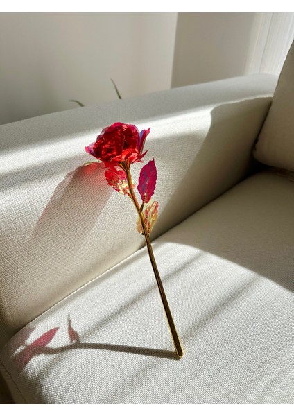 Solmayan Sonsuzluk Gülü Sevgiliye Hediye / Anneye / Doğumgünü / Yapay Gül Rose