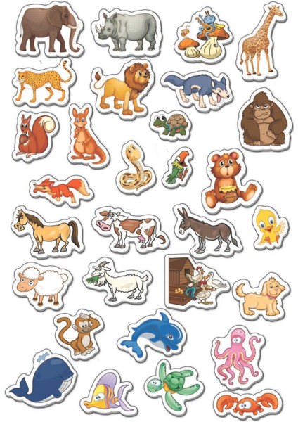 Manyetik Hayvanlar modelleri