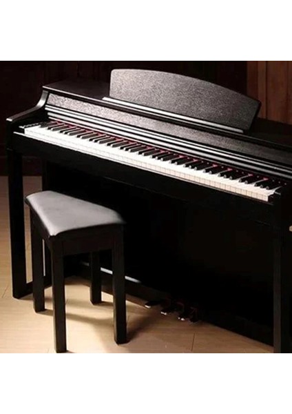 Br-22 Dijital Piyano
