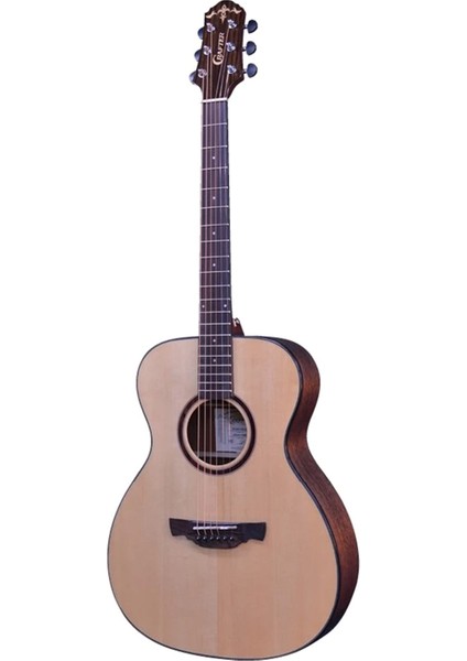 Able T-600 Akustik Gitar