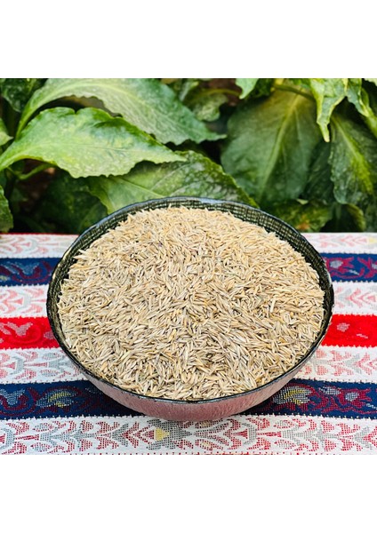 Ithal Çim Tohumu 6'lı Karışım Hastalıklar ve Basmaya Dayanıklı 1 Hafta İçinde Çimlenme 1kg modelleri