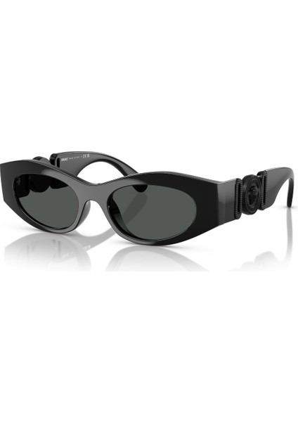 0VE 4480U 536087 51 Unisex Güneş Gözlüğü