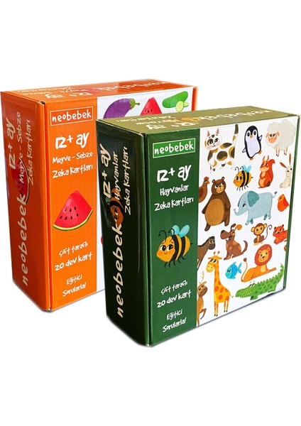 Dünyayı Tanıyorum Zeka Kartları Seti (2 Kutu 40 Kart)