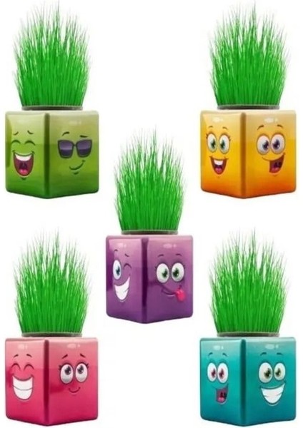 Çim Adam Kare Emoji Şekilli Çim Adam Surat 4 Adet Okul Öncesi Sonrası Etkinlik modelleri