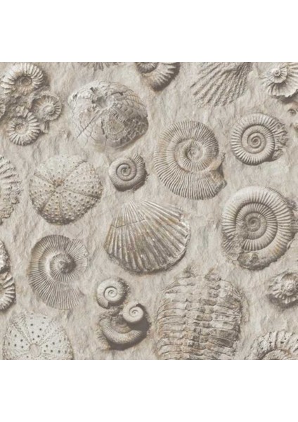 Replik Fransız Duvar Kağıdı J86209 (5m2)