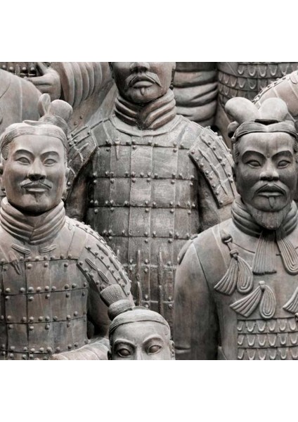 3 Dynamıc Fransız Duvar Kağıdı J705-07 (5m2)