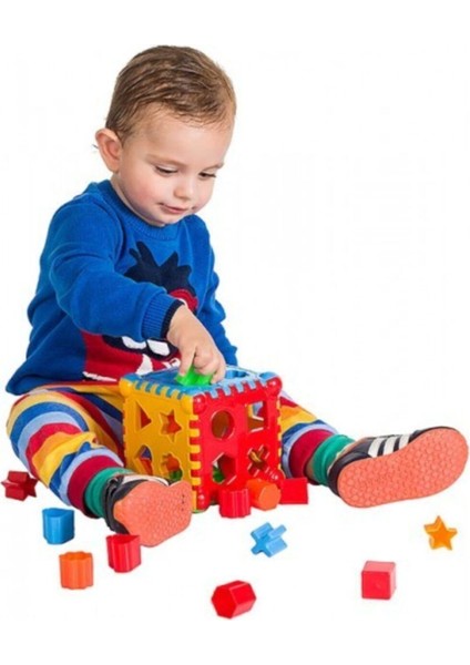 Bultak Bul Tak Puzzle Eğitici Zeka Geliştirici Set Bebek ve Çocuk Zeka Gelişim Seti Oyuncağı