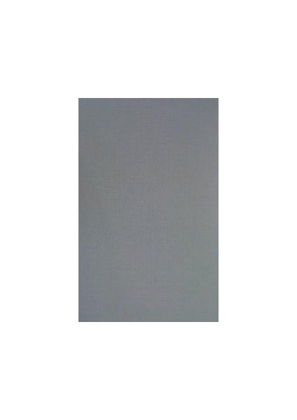 Vısıon Fransız Duvar Kağıdı J067-01 (5m2)