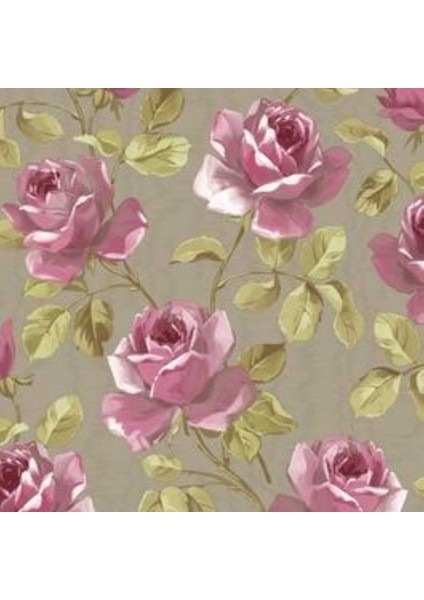 Vısıon Fransız Duvar Kağıdı J493-06 (5m2)