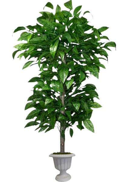 Yapay Ceviz Agacı 180 cm Nergiz Saksı