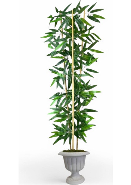 Dekoratif Yapay Yapraklı 3 Gövde Bambu Ağacı 190 cm Bambu nergiz saksı