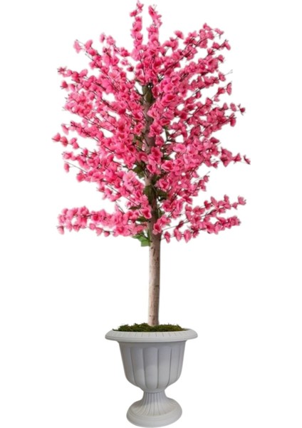 Pembe Bahar Dalı Kiraz Çiçegi Sakura 81 Dal Dogal Gövdeli Nergiz Saksı