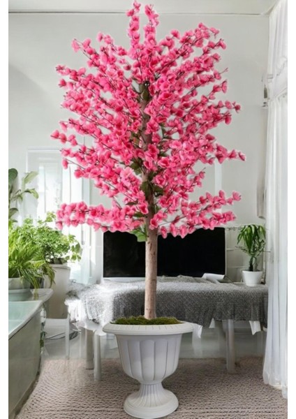 Pembe Bahar Dalı Kiraz Çiçegi Sakura 81 Dal Dogal Gövdeli Nergiz Saksı fiyatları