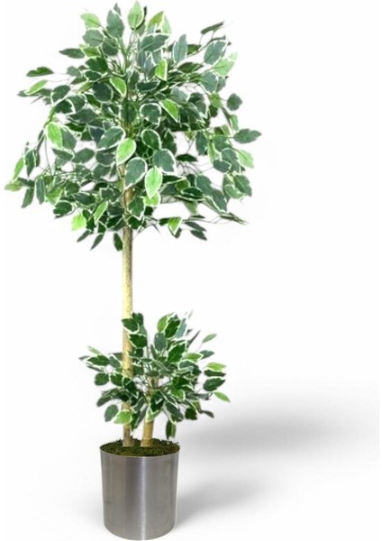 140 cm Ficus Yapay Ağaç Bambu 2 Gövdeli Metal Saksı