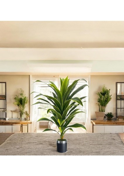 Yapay Dracaena Fragrans Ağaç 120 cm Siyah Gümüş Saksı fiyatları