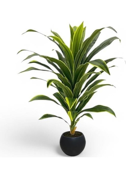 Yapay Dracaena Fragrans Ağaç 120 cm Siyah Küre Saksı