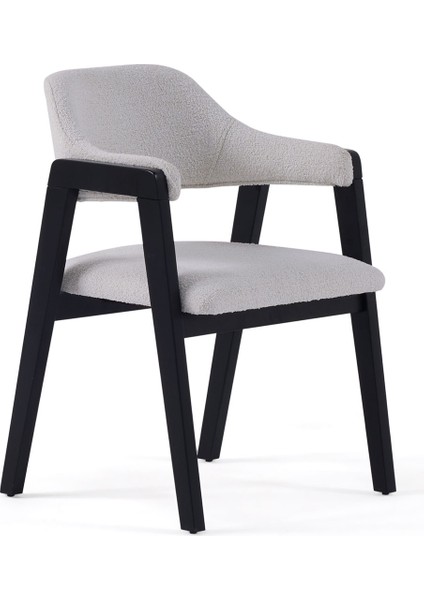 Regnum Sandalye 6 Adet fiyatları