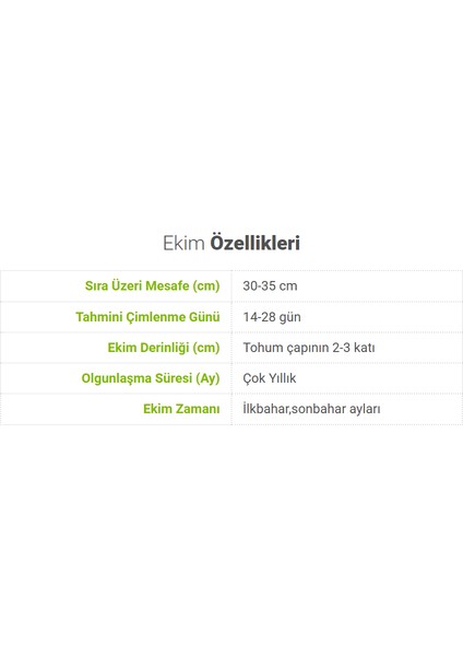 Sunagri Çilek Tohumu - Balkon Saksı ve Bahçe İçin Çok Yıllık Kolay Yetiştirilir fırsatları