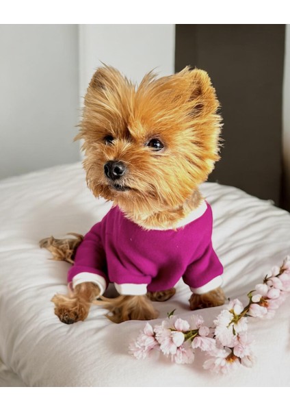 Foxie Polar Köpek Tulum Pijama