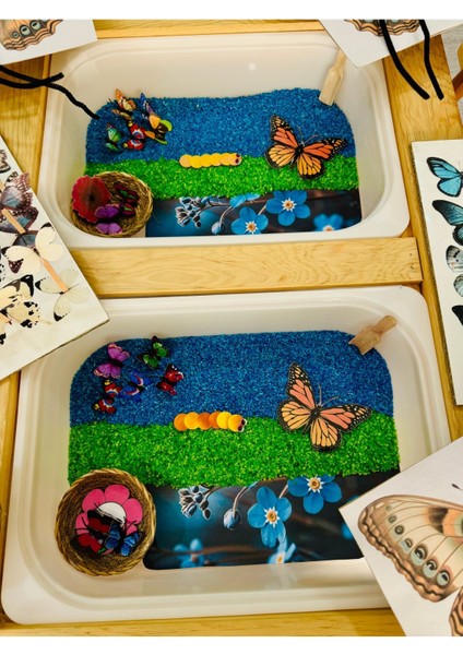 2-4 Yaş Çocuklar Için Eğitici Duyusal Oyun Kutusu