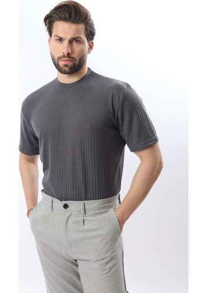 Füme Dokulu Çizgi Tasarım Bisiklet Yaka Erkek T-Shirt E7122 modelleri