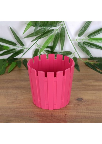 PetGrow Plastik Akasya Kaktüs 5,5 Saksı