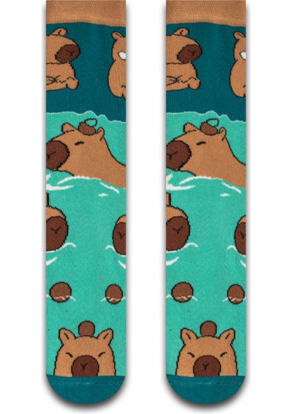 Sevimli Capybara Renkli Erkek Çorap