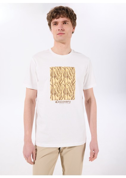 T-S, M, Kırık Beyaz