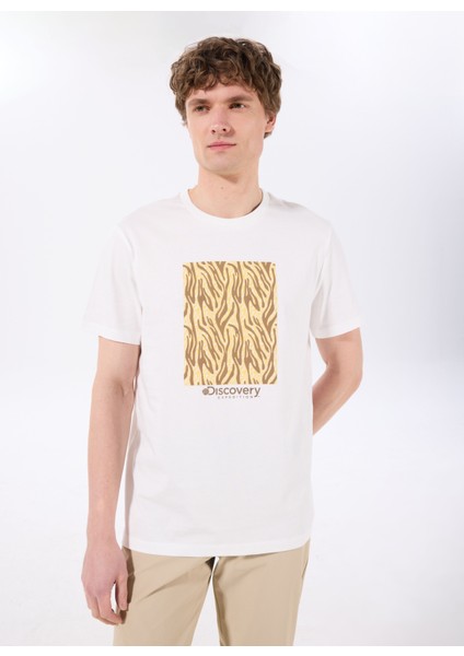 T-S, M, Kırık Beyaz modelleri