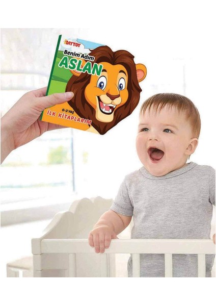 Ilk Hikaye Kitaplarım Hayvanlar Alemi 6'lı Set Hayvanlar Ilk Kitaplarım Eğitici Bebek Kitapları modelleri