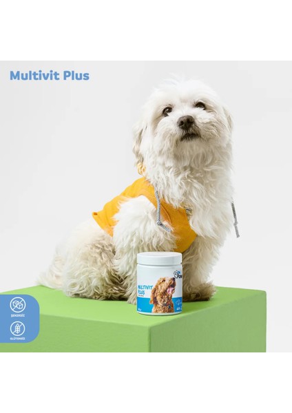 - Multivit Plus: Küçük Irk Köpekler İçin Glütensiz ve Şekersiz Günlük Vitamin Takviyesi Çiğnenebilir Tablet (90 gr) fiyatları
