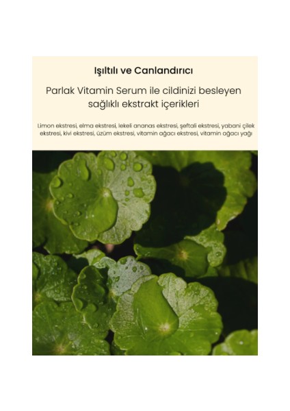 Red Orange Brightening Cream Kırmızı Portakal Cilt Aydınlatıcı Yüz Kremi 80ml