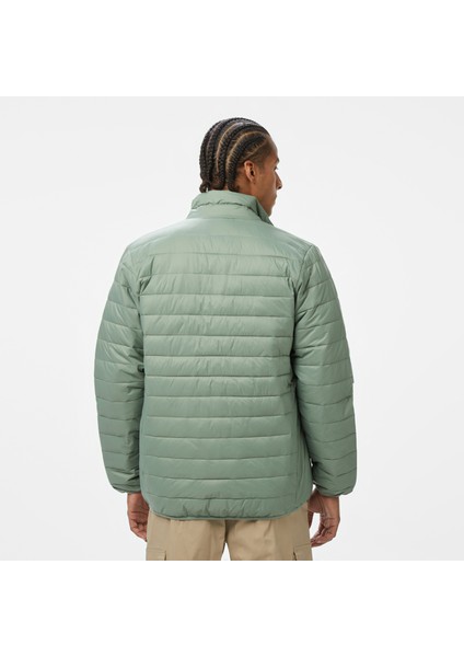 Scaly Insulator Erkek Yeşil MONT.18563 fiyatları