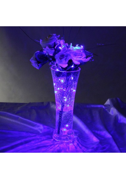 Purple Christmas LED Light 2 Metre Mor Pilli LED Işık Noel Işığı Parlak Peri LED Işık modelleri