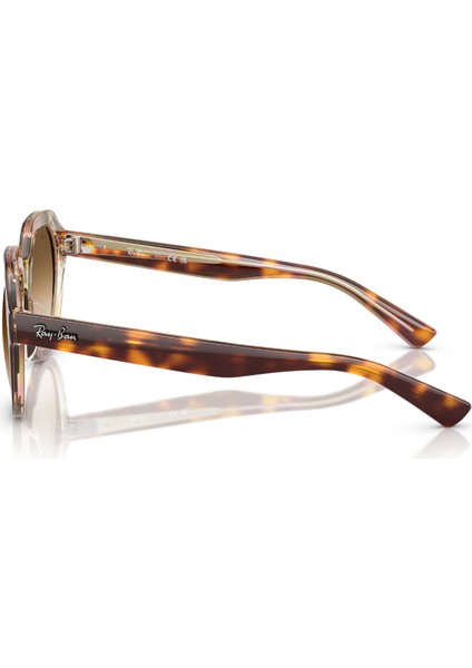 Rb 4399 141451 51 Ray-Ban Gına Güneş Gözlüğü fiyatları