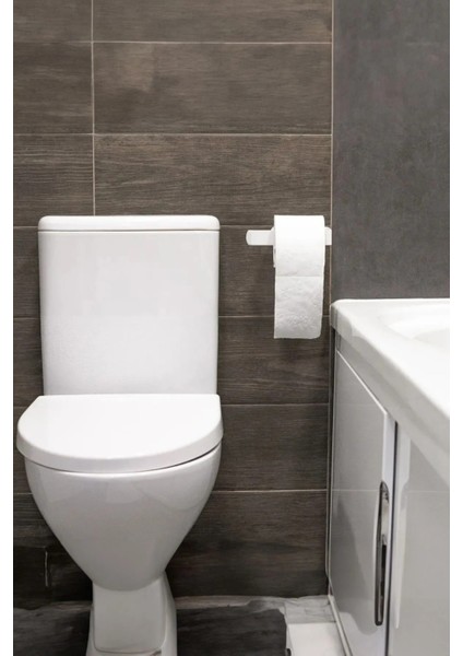 Kaliteli Paslanmaz Çelik Tuvalet Kağıtlığı, Peçetelik -Banyo Lavabo Mutfak Dekoratif Çok Amaçlı Askı