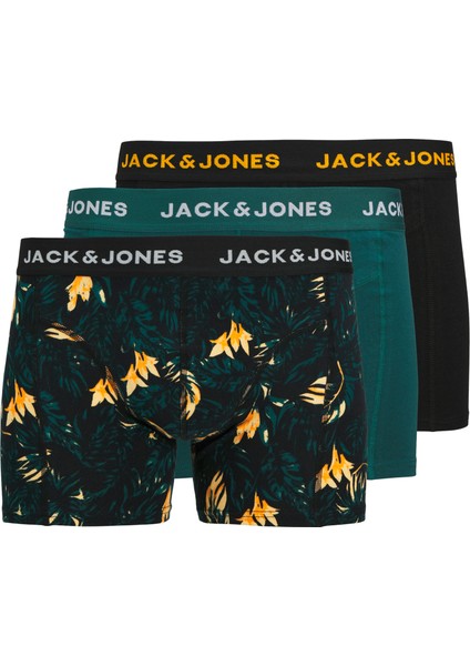 Jactyler Trunks 3 Pack 12269360