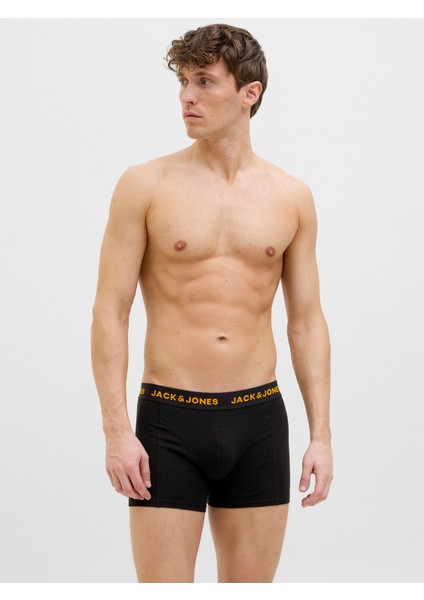 Jactyler Trunks 3 Pack 12269360