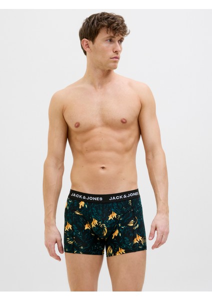 Jactyler Trunks 3 Pack 12269360